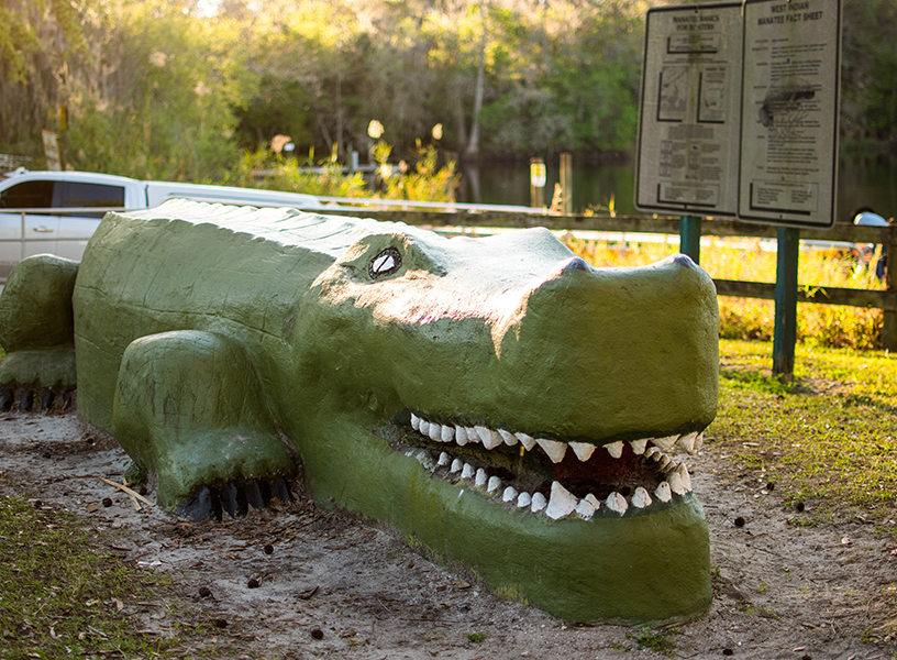 Alligator play equipment for children at Lake Monroe Park