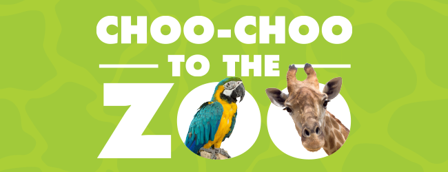 Choo-Choo to the Zoo
