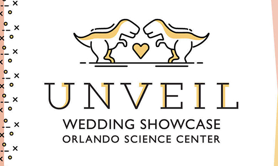 Unveil Wedding Showcase