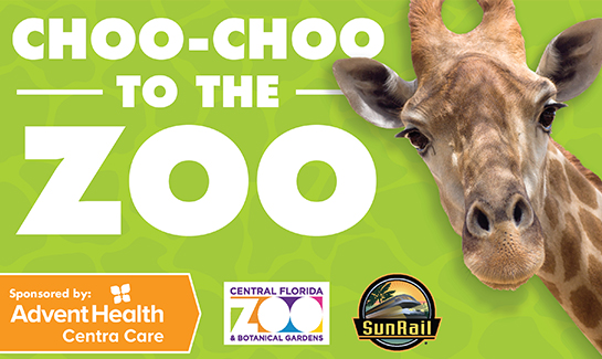 Choo-Choo to the Zoo